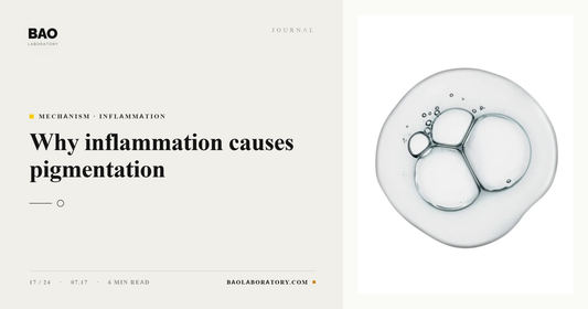 BAO Laboratory Why Inflammation Causes Pigmentation