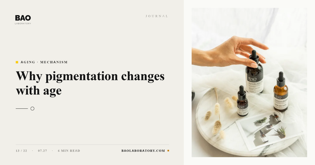BAO Laboratory Why Pigmentation Changes With Age