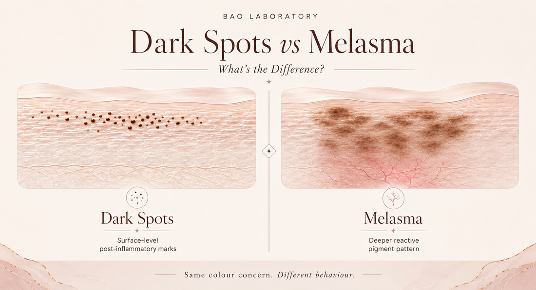 BAO Laboratory Dark Spots vs Melasma: What's the Difference?