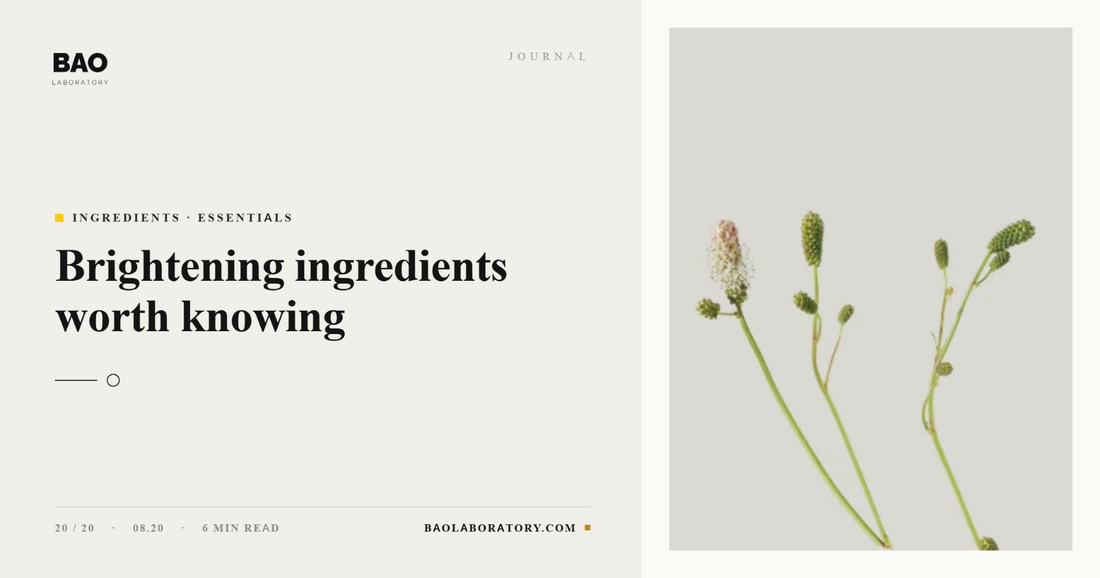 BAO Laboratory Brightening Ingredients Worth Knowing